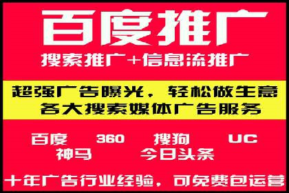 某品牌SEM推广策略的成效与启示